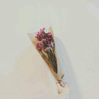 神与契约手游变态版下载